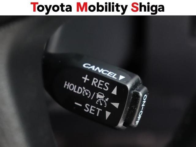 アルファード ２．５Ｓ　Ｃパッケージ　サンルーフ　フルセグ　メモリーナビ　ＤＶＤ再生　ミュージックプレイヤー接続可　後席モニター　バックカメラ　衝突被害軽減システム　ＥＴＣ　両側電動スライド　ＬＥＤヘッドランプ　乗車定員７人　３列シート（30枚目）