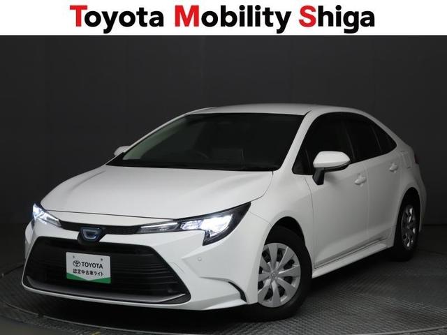 �k�d�c�w�b�h�����v�����Ԃł��B��ԑ��s���A���邭�Ǝ˂��܂��̂Ŗ铹�����S�ł��B