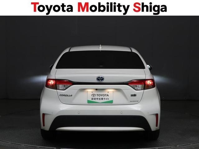 ���F���̗ǂ��e�|�������v�f�U�C���ł��B