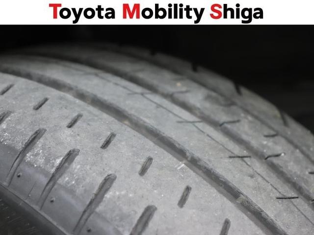 �^�C���̎c��a�́A�T�~���ł��B