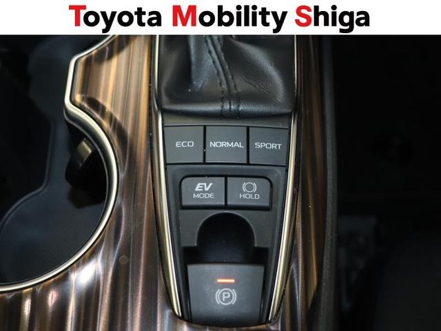 �d���p�[�L���O�u���[�L�ł��B