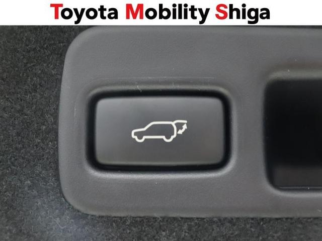 ハリアー プレミアム フルセグ メモリーナビ DVD再生 ミュージックプレイヤー接続可 バックカメラ 衝突被害軽減システム ETC ドラレコ LEDヘッドランプ ワンオーナー アイドリングストップ(32枚目)