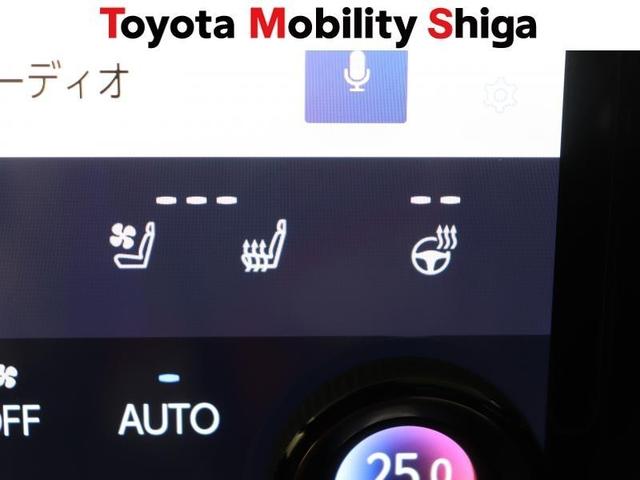 ＮＸ ＮＸ３５０ｈ　Ｆスポーツ　革シート　サンルーフ　フルセグ　メモリーナビ　ＤＶＤ再生　ミュージックプレイヤー接続可　バックカメラ　衝突被害軽減システム　ＥＴＣ　ドラレコ　ＬＥＤヘッドランプ　ワンオーナー（31枚目）