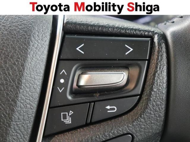 アルファード ２．５Ｘ　フルセグ　メモリーナビ　ＤＶＤ再生　ミュージックプレイヤー接続可　バックカメラ　衝突被害軽減システム　ＥＴＣ　ドラレコ　電動スライドドア　ＬＥＤヘッドランプ　乗車定員８人　フルエアロ（29枚目）