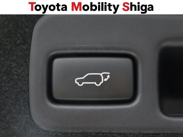 ハリアー プレミアム　フルセグ　メモリーナビ　ＤＶＤ再生　ミュージックプレイヤー接続可　バックカメラ　衝突被害軽減システム　ＥＴＣ　ＬＥＤヘッドランプ　ワンオーナー　アイドリングストップ（30枚目）