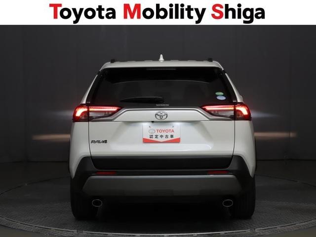 ＲＡＶ４ Ｇ　４ＷＤ　フルセグ　メモリーナビ　ＤＶＤ再生　ミュージックプレイヤー接続可　バックカメラ　衝突被害軽減システム　ＥＴＣ　ＬＥＤヘッドランプ　ワンオーナー（10枚目）