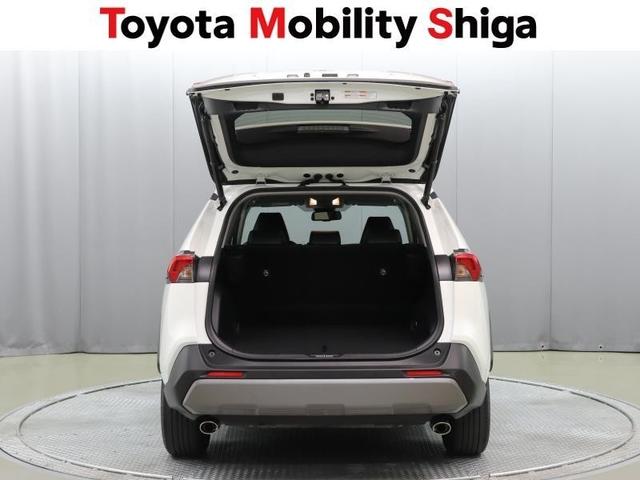 ＲＡＶ４ Ｇ　４ＷＤ　フルセグ　メモリーナビ　ＤＶＤ再生　ミュージックプレイヤー接続可　バックカメラ　衝突被害軽減システム　ＥＴＣ　ＬＥＤヘッドランプ　ワンオーナー（14枚目）