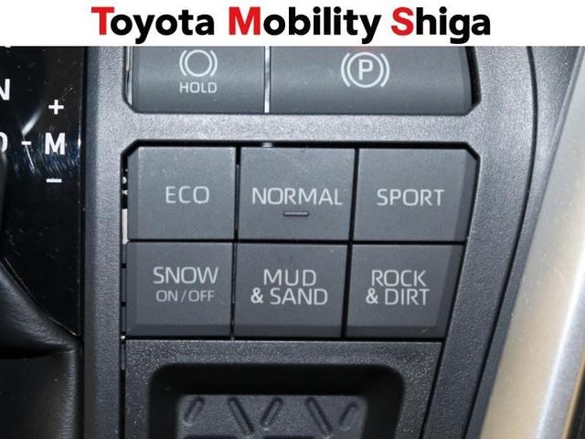 ＲＡＶ４ Ｇ　４ＷＤ　フルセグ　メモリーナビ　ＤＶＤ再生　ミュージックプレイヤー接続可　バックカメラ　衝突被害軽減システム　ＥＴＣ　ＬＥＤヘッドランプ　ワンオーナー（25枚目）