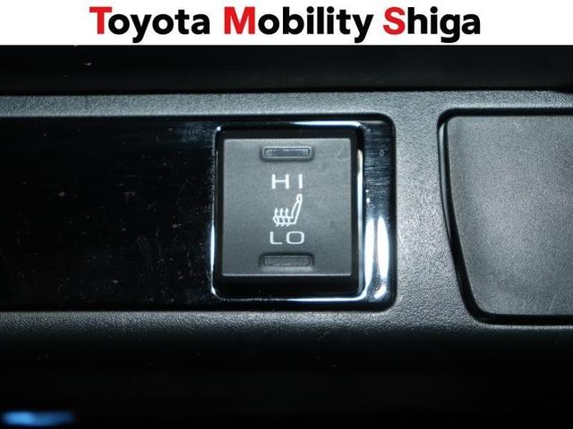 ＲＡＶ４ Ｇ　４ＷＤ　フルセグ　メモリーナビ　ＤＶＤ再生　ミュージックプレイヤー接続可　バックカメラ　衝突被害軽減システム　ＥＴＣ　ＬＥＤヘッドランプ　ワンオーナー（34枚目）