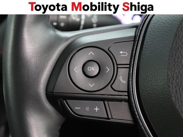 ＲＡＶ４ アドベンチャー　４ＷＤ　フルセグ　メモリーナビ　ＤＶＤ再生　ミュージックプレイヤー接続可　バックカメラ　衝突被害軽減システム　ＥＴＣ　ＬＥＤヘッドランプ　ワンオーナー（28枚目）