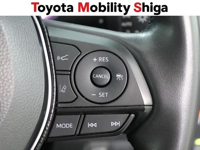 ＲＡＶ４ アドベンチャー　４ＷＤ　フルセグ　メモリーナビ　ＤＶＤ再生　ミュージックプレイヤー接続可　バックカメラ　衝突被害軽減システム　ＥＴＣ　ＬＥＤヘッドランプ　ワンオーナー（29枚目）