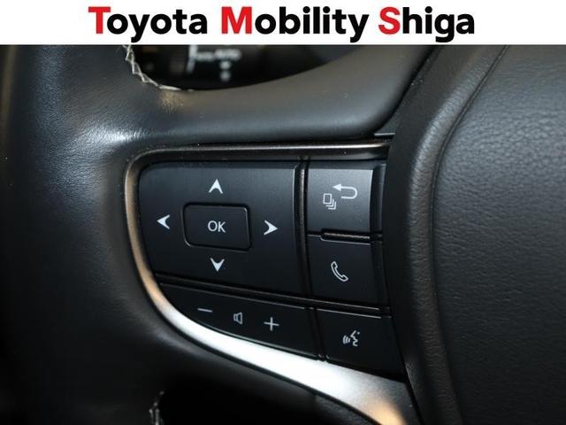 ＵＸ ＵＸ２５０ｈ　バージョンＣ　フルセグ　メモリーナビ　ＤＶＤ再生　ミュージックプレイヤー接続可　バックカメラ　衝突被害軽減システム　ＥＴＣ　ドラレコ　ＬＥＤヘッドランプ　ワンオーナー（29枚目）