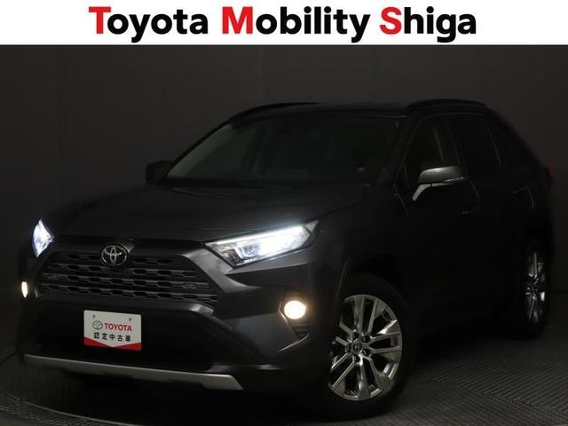 ＲＡＶ４ Ｇ　Ｚパッケージ　革シート　４ＷＤ　フルセグ　メモリーナビ　ＤＶＤ再生　ミュージックプレイヤー接続可　バックカメラ　衝突被害軽減システム　ＥＴＣ　ＬＥＤヘッドランプ　ワンオーナー（9枚目）