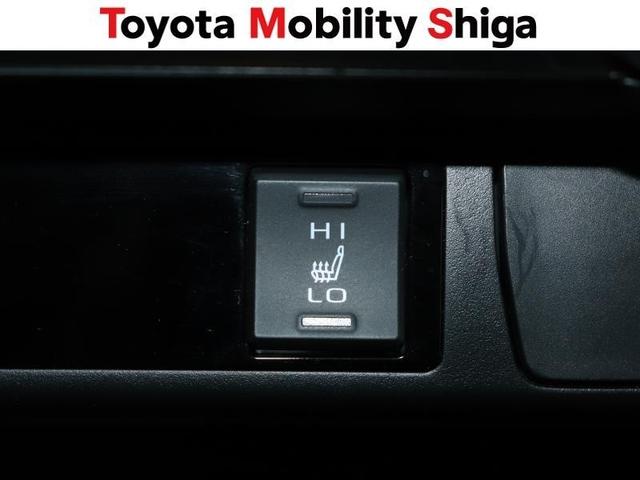 ＲＡＶ４ Ｇ　Ｚパッケージ　革シート　４ＷＤ　フルセグ　メモリーナビ　ＤＶＤ再生　ミュージックプレイヤー接続可　バックカメラ　衝突被害軽減システム　ＥＴＣ　ＬＥＤヘッドランプ　ワンオーナー（30枚目）