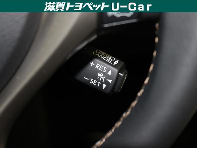 GS300h Iパッケージ(17枚目)