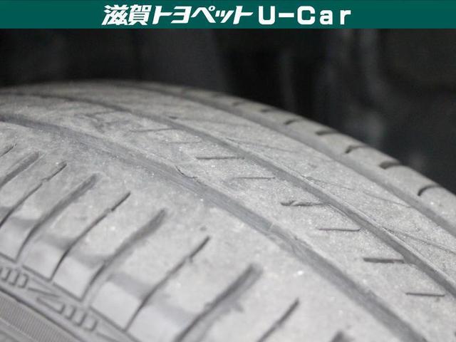 ハイブリッドV(14枚目)