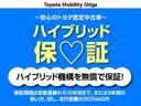 ハイブリッドＺ　メモリーナビ　ミュージックプレイヤー接続可　バックカメラ　衝突被害軽減システム　ＥＴＣ　ドラレコ　ＬＥＤヘッドランプ　ワンオーナー（37枚目）