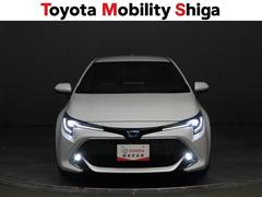 �ե������פ���������Ƥ��ޤ����볦�ΰ����������α�ž����Ω���ޤ��� 7