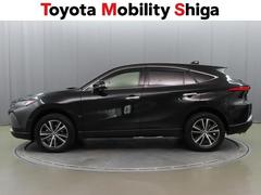 ή���褦�ʥե���ब̥��Ū�Ǥ��� 2