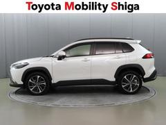 �����鸫�Ƥ��äƤ�ʬ�����ͤ˼�����֤⹭���Ǥ��� 2