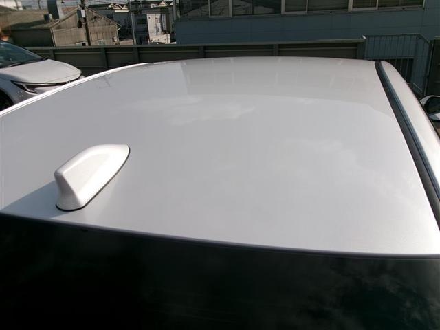 ���[�t�͖ڗ��L�Y��ւ��݂Ȃǂ͂Ȃ���Ԃł��B