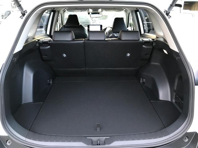RAV4 ハイブリッドアドベンチャー オフロードパッケージII 4WD 全周囲カメラ クリアランスソナー オートクルーズコントロール レーンアシスト パワーシート 衝突被害軽減システム TV オートマチックハイビーム オートライト LEDヘッドランプ(43枚目)