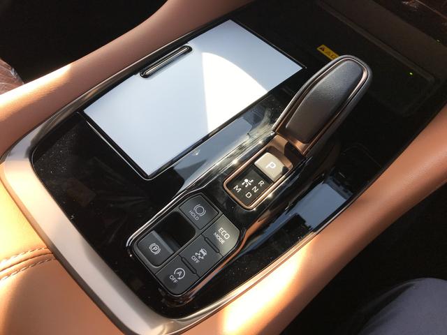 ヴェルファイア Ｚ　プレミア　全周囲カメラ　ナビ　ＴＶ　クリアランスソナー　オートクルーズコントロール　レーンアシスト　パークアシスト　衝突被害軽減システム　両側電動スライドドア　オートマチックハイビーム　オートライト（29枚目）