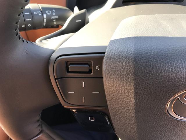 ヴェルファイア Ｚ　プレミア　全周囲カメラ　ナビ　ＴＶ　クリアランスソナー　オートクルーズコントロール　レーンアシスト　パークアシスト　衝突被害軽減システム　両側電動スライドドア　オートマチックハイビーム　オートライト（49枚目）