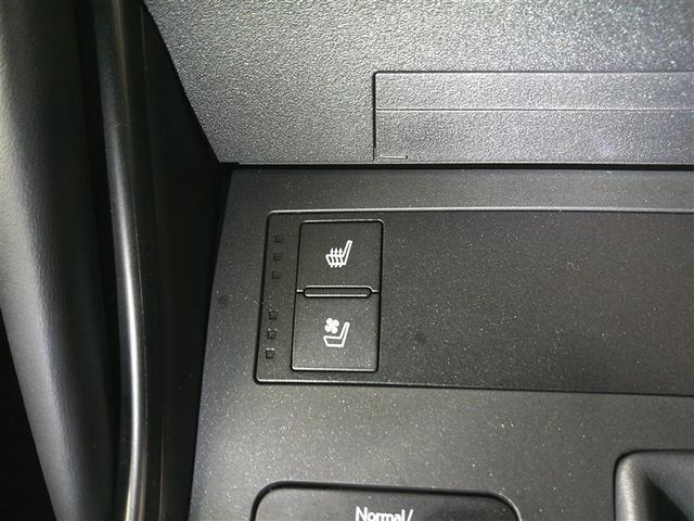 ＩＳ ＩＳ３００　Ｆスポーツモードブラック　Ｒカメラ　ＤＶＤ再生　プリクラッシュセーフティシステム　ワンオーナー　メモリーナビ　電動シート　フルセグテレビ　スマートキー　ＥＴＣ　アルミホイール　オートクルーズコントロール　イモビライザー（25枚目）