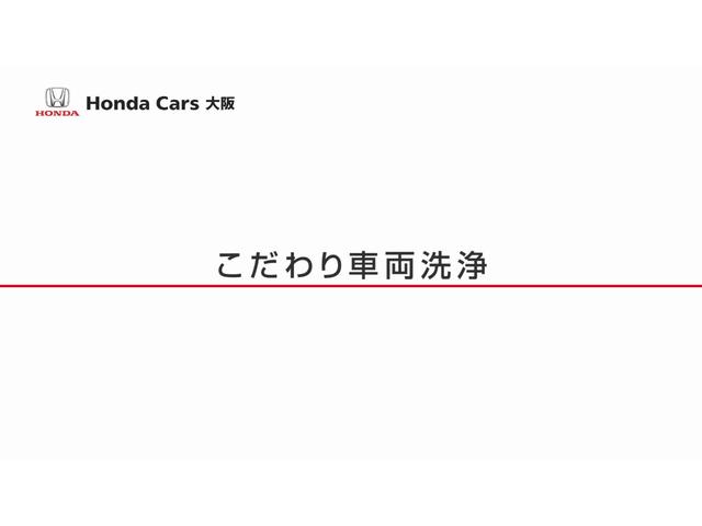 リュクス 弊社試乗車 ETC フルセグ リアカメラ(50枚目)