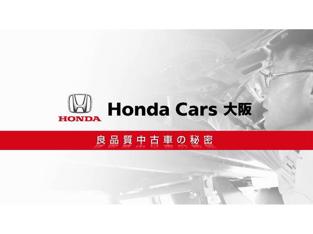 オリジナル 弊社試乗車 ETC フルセグ リアカメラ(37枚目)