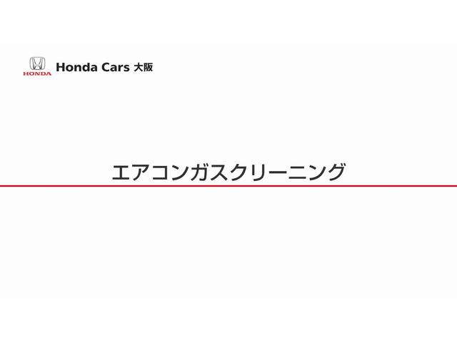 G・ホンダセンシング 弊社試乗車 ETC フルセグ リアカメラ(53枚目)
