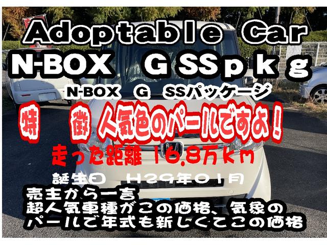 Ｎ－ＢＯＸ Ｇ　ＳＳパッケージ　禁煙車　スマートキー　プッシュスターター　デジタルＴＶナビ　バックカメラ　助手席後部オートスライドドア　ディスチャージャーヘッドライト　ＥＴＣ（2枚目）