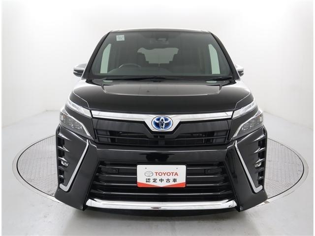 �J�b�R�C�C���H�N�V�[�ł��I