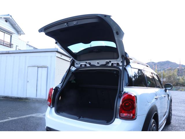 �J�������傫��