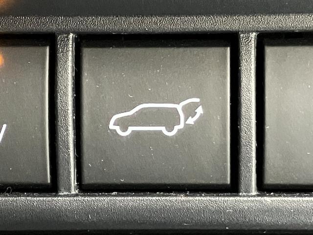 �p���[�o�b�N�h�A�X�C�b�`�ł��B