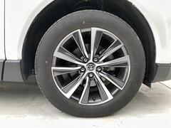 �����������������ߤ��������ơ������ܤ��ɹ��Ǥ�������ޤϤ�äѤ곰�������ڤˤ������Ǥ���͡���������ߤϹ⤤�����٤ǡ�����ޤ˥ޥå����ޤ��� 7