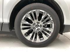 �����������������ߤ��������ơ������ܤ��ɹ��Ǥ�������ޤϤ�äѤ곰�������ڤˤ������Ǥ���͡���������ߤϹ⤤�����٤ǡ�����ޤ˥ޥå����ޤ��� 6