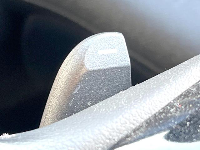 ステップワゴンスパーダ S 純正ナビ 電動スライドドア バックカメラ 禁煙車 ビルトインETC オートライト オートエアコン 純正16インチアルミ CD DVD再生 地デジ パドルシフト HIDフォグ(29枚目)