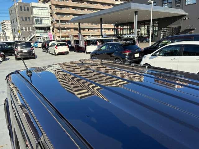 ���[�t�摜