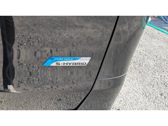 セレナ ２０Ｘ　Ｓ－ハイブリッド　純正ナビフルセグテレビＤＶＤ再生Ｂｌｕｅｔｏｏｔｈオーディオバックカメラプッシュエンジンスタートインテリキー２個クルーズコントロールＥＴＣ両側電動スライドドア（29枚目）