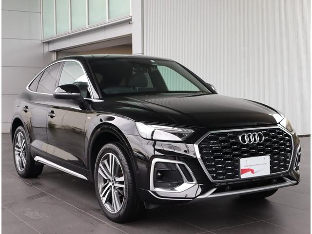 Ｑ５スポーツバック ハイスタイル　２５０台限定車・マトリクスＯＬＥＤリヤライト・ロックグレーレザー・シートヒーター前後・ステアリングヒーター・専用２０インチアルミ・ダンピングコントロールサス・マルチアンビエントライト・マトリクス（29枚目）