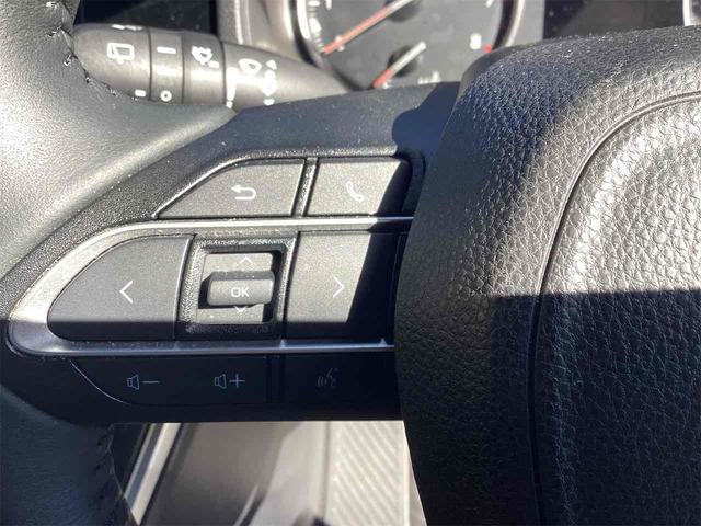 ヴォクシー Ｓ－Ｇ　バックカメラ　ナビ　ＴＶ　オートクルーズコントロール　レーンアシスト　衝突被害軽減システム　両側スライド・片側電動　オートマチックハイビーム　オートライト　ＬＥＤヘッドランプ　スマートキー（13枚目）