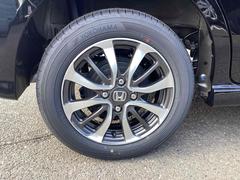 ������١��¼֤�������������� 6