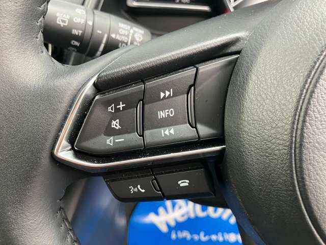 CX-3 1.5 15S ツーリング 社用車UP 歩行者検知ブレーキ 禁煙車(15枚目)