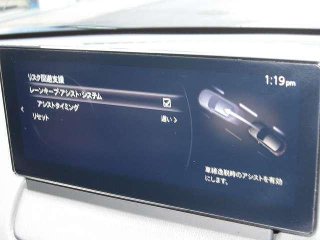 ���[���L�[�v�A�V�X�g�Ƃ́A�Ԑ���E����x���V�X�e���ł��B���Ԃ��Ԑ������E����\��������ƁA�k�`�r���Ԑ�����̈�E���������悤�Ƀn���h��������A�V�X�g���܂��B