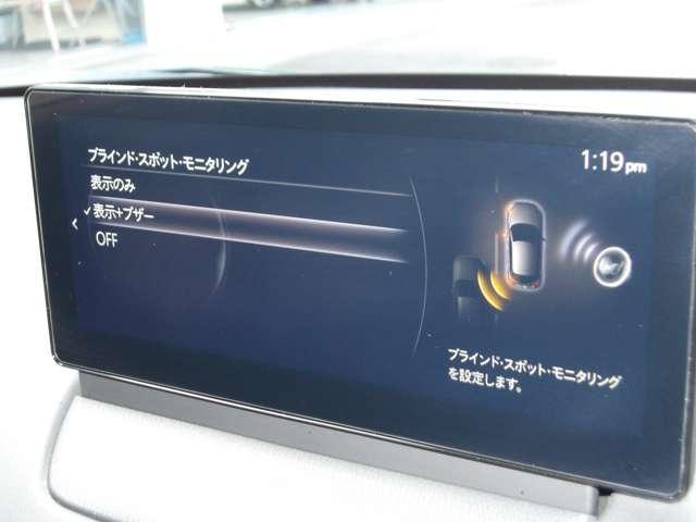 �u���C���h�E�X�|�b�g�E���j�^�����O�i�a�r�l�j�͂P�T�����^���ȏ�ł̑��s���A�������ڋ߂���ԗ������[�_�[�Ō��m�B�h�A�~���[�̋��ʂɃC���W�P�[�^�[��_�������Čx�����Ă���܂��B