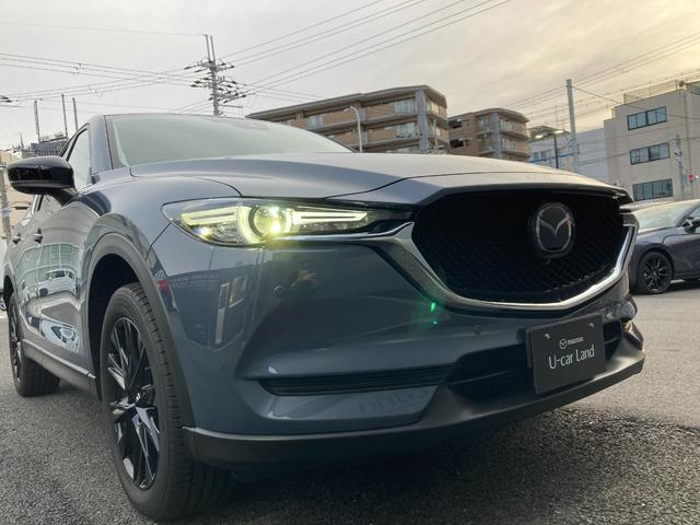 ＣＸ－５ ＸＤ　ブラックトーンエディション　ワンオーナー　歩行者検知ブレーキ　ＢＳＭ　ＬＡＳ　３６０度ビュー　ＭＲＣＣ　ＡＬＨ　ＢＯＳＥサウンドシステム　ＥＴＣ車載器（29枚目）