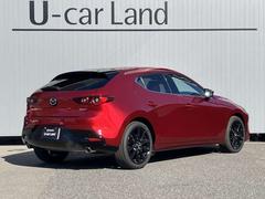 ҤǻѤƤξڻ֥åסۤǤƥʥ󥹤⤭ȤƤꡢǥɤ⥤Ǥ 2