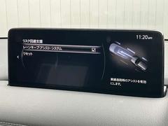 �ãءݣ� ���������أġ��֥�å������쥯����󡡥ǥ������륿���� 0703112A20251222Z001 6